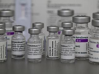 Elkezdik a vakcinák keresztezését a kanadaiak 