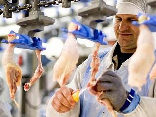 Oroszországban pánikvásárlás kezdődhet csirkéből és sertéshúsból
