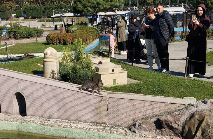 Egy váratlan helyen felbukkanó cica   