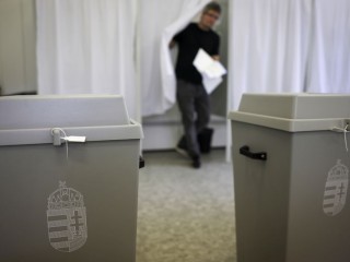 Egy szavazó az önkormányzati, európai parlamenti és nemzetiségi választásokon a XII. kerületi Fekete István Általános Iskola és Előkészítő Szakiskolában kialakított 24. szavazókörben 2024. június 9-én