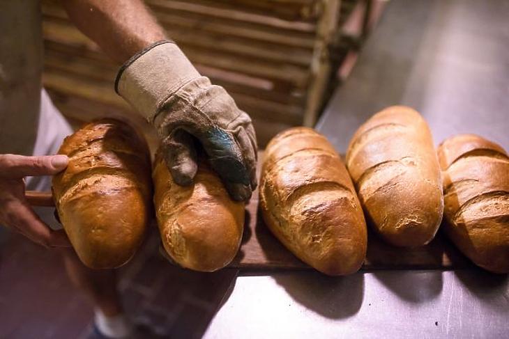 Pékek, cukrászok, vagyonőrök – itt van, kik számíthatnak ellenőrzésre