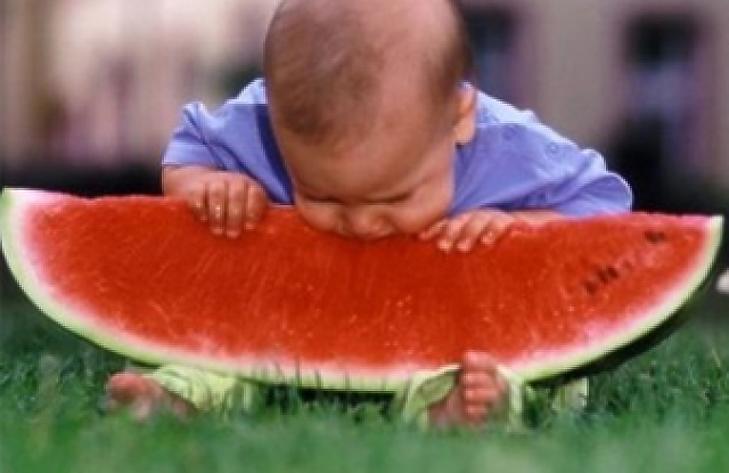 Egyelőre mindenkinek jó az idei dinnyeszezon