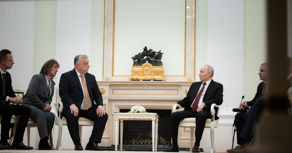 Lemondott a fordító- és tolmácsegyesület elnöke