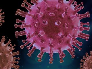 Koronavírus: Nagy a baj a szomszédos országokban is