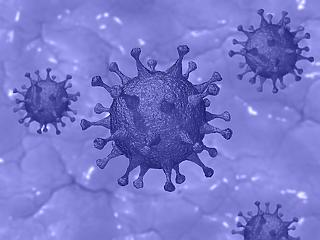Koronavírus: Meghalt egy 39 éves beteg