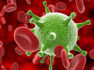 Hatra emelkedett a koronavírus-fertőzött elhunytak száma