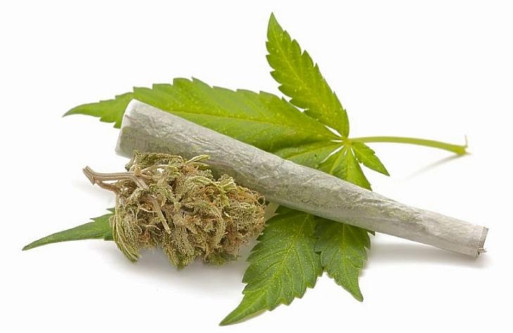 Olcsó nálunk a fű, Budapest is felkerült a marihuána-térképre