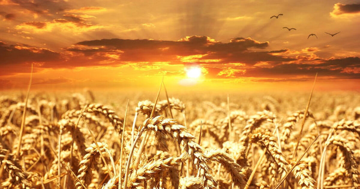 Ez is az újabb háború hatása: itt is brutális drágulás jöhet