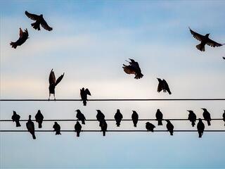 Kiderült, ki állt a berlini óriási áramszünet mögött