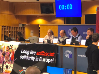 a Die Linke az Európai Parlamentben