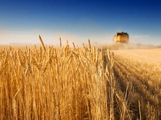 Egy ukrán háború a világ gabonapiacát is megrázná