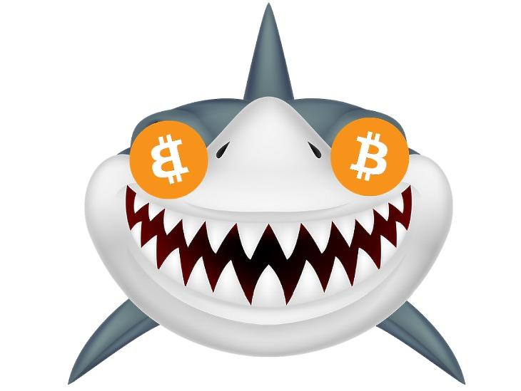 bitcoin kereskedő cápa tartály
