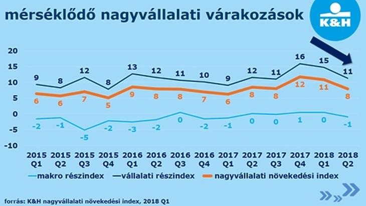 Mi van a háttérben? Borúsan látják a helyzetet a hazai nagyvállalatok 