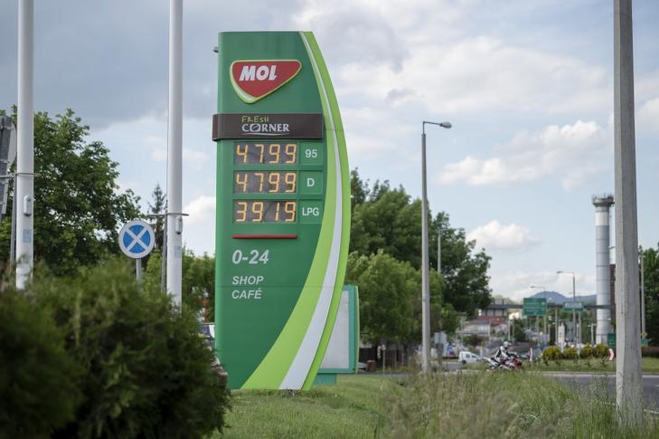 Van Mol-részvénye? Ennek nem fog örülni