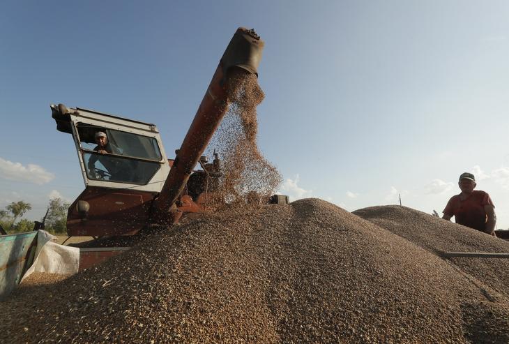 Egy-két kikötőt sikerült találni a gabonaexport folytatásához, de ez kevés. Fotó: EPA / Sergey Dolzhenko