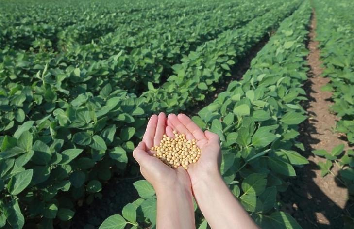 A kereskedelmi háború visszaüt: bajban Amerika