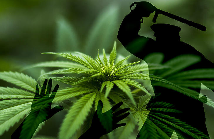 Nagy halat fogott a rendőrség: ilyet se láttak még egy baromfitelepen