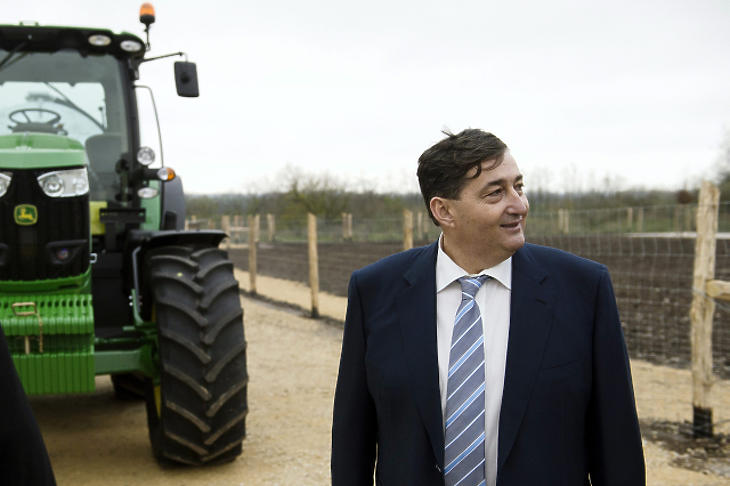 Kisgömböc módra hízott meg Mészáros Opusának saját tőkéje