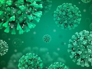 Itt a friss adat: 85 új koronavírus fertőzöttet azonosítottak