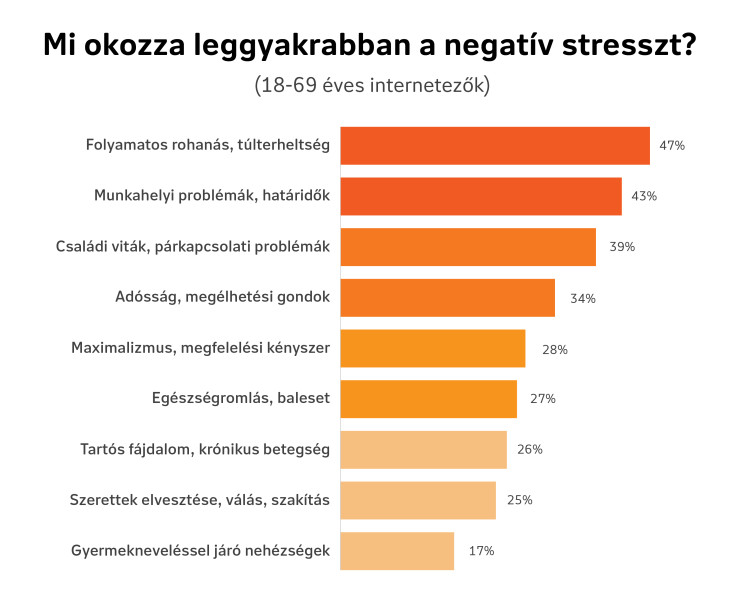 (Forrás: NN Biztosító)