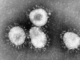A hatszázadik áldozatát szedte itthon a koronavírus