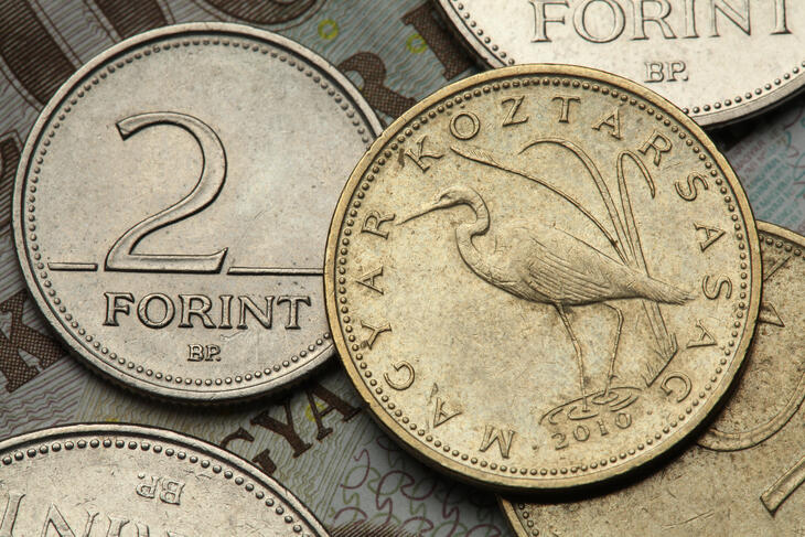 A forint gyűrödten ébredt, és még a kávéját is magára öntötte