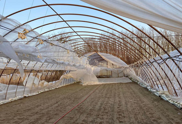 A kormány segít a viharkárosult termelőknek