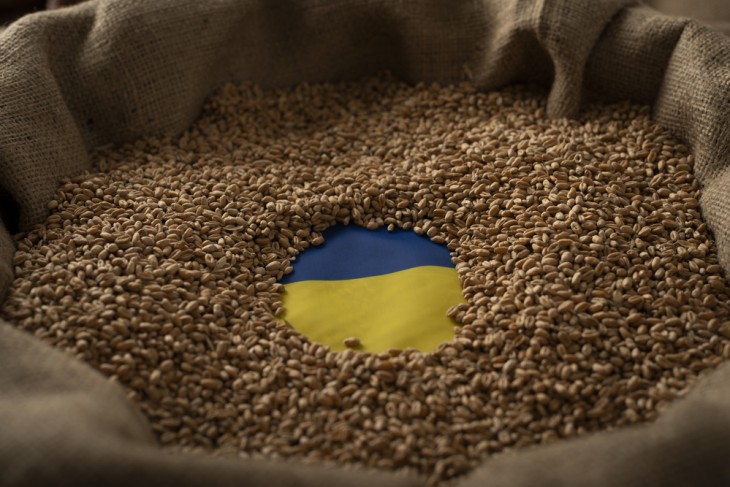 Egyelőre szeptember 15-ig szól az ukrán gabonát tiltó rendelkezés. Fotó: Depositphotos