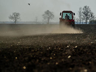 Véget ért a tavaszi korona-spórolás, viszik a gazdák a traktorokat, mint a cukrot