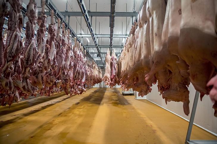 Esik a csirke és a disznó ára a koronavírus miatt