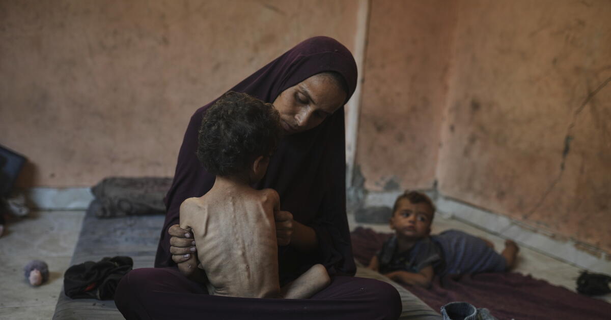 The Guardian: Izrael okozta a gázai éhínséget Kép
