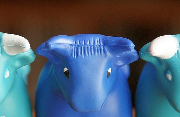 Megjött a történelem leghosszabb bikája, esnek a diszkontbrókerek