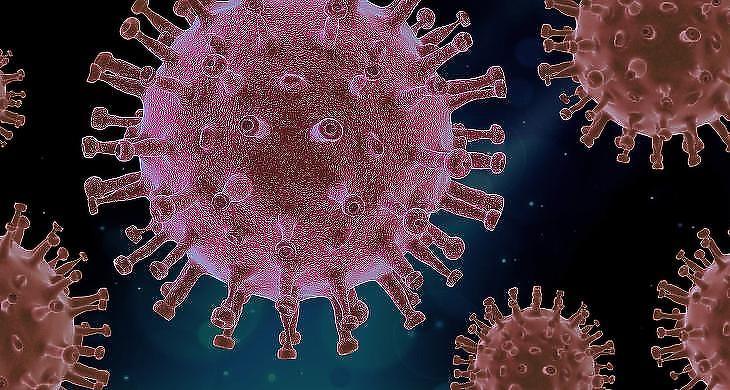 Megérkeztek a friss adatok: töretlenül javul a járványhelyzet Magyarországon