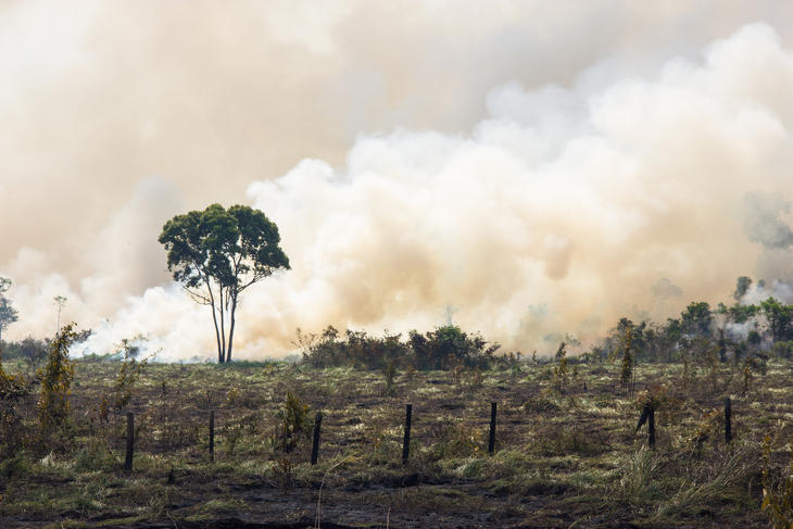 Nem csak az erdők fognak lángolni az Amazonas-medencében. Forrás: Depositphotos