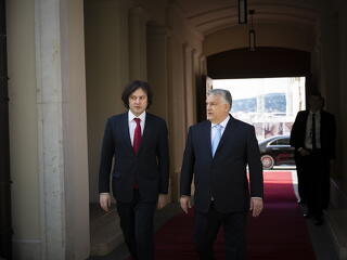 A grúz kormánypárt betiltaná az ellenzéki pártokat