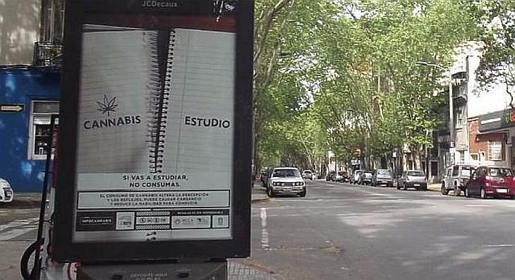 Örül a kormány, mert már tömegek füveznek legálisan