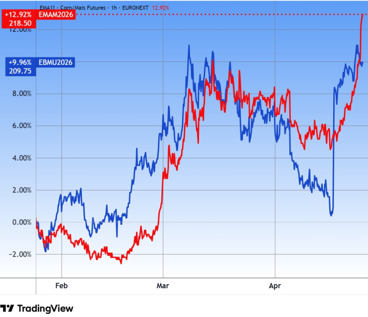 Tőzsdei kukorica&ndash; (EM) és búzaárak (EB) Európában. Forrás: Tradingview.com. További árfolyamok, grafikonok: Privátbankár Árfolyamkereső