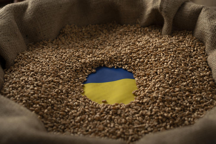 A gabonaexport folyamatossága kulcsfontosságú az ukrán gazdaság számára. Fotó: Depositphotos