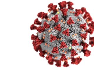 Két embert megint elvitt a koronavírus - nagyot esett az aktív fertőzöttek száma