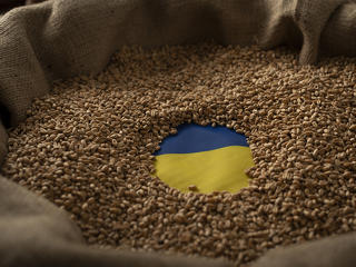 Rengeteg gabonát exportálhat idén Ukrajna