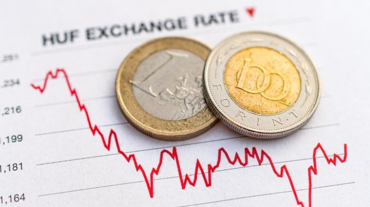 Az euró árfolyama akár szeszélyesen is változhat