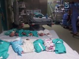 Koraszülött babák az Al-Shifa kórházban Gázában. Egyelőre nem tudni, hogy sikerül-e megmenteni őket. Fotó: Twitter/TRT World Now 
