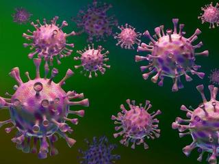 Koronavírus: a hazai tesztek közel negyede pozitív