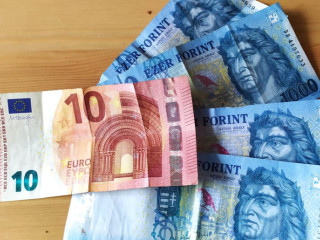 Erőre kapott estére a forint