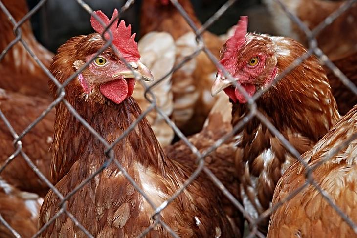 Kiszámolták: ekkora kárt okozott a pusztító járvány Magyarországon 