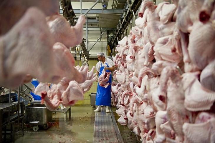 Ezért lesz drágább a baromfihús – lehet, nem is kevéssel