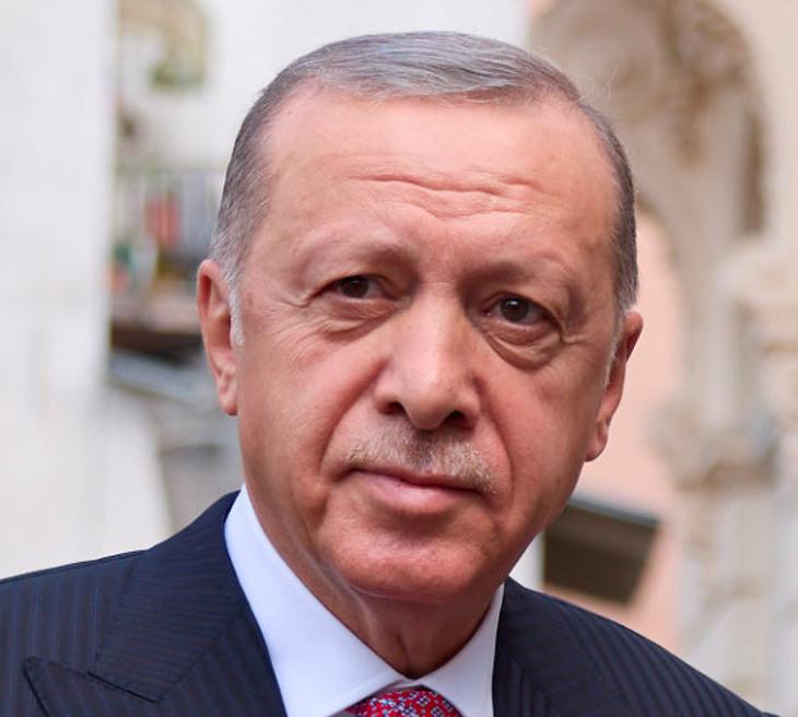 Recep Tayyip Erdogan török elnök fontos kérdésekről fog tárgyalni ukrán kollégájával. Fotó: Wikipedia