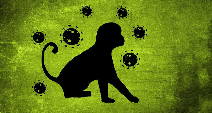 A majomhimlő miatt globális vészhelyzetet hirdetett el a WHO