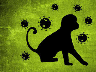 A majomhimlő miatt globális vészhelyzetet hirdetett el a WHO