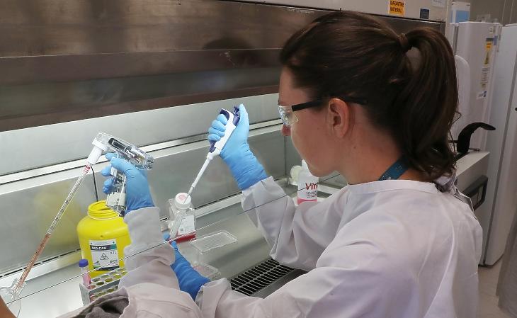 Egy ausztrál kutató a koronavírus-elleni védőoltáson dolgozik egy laborban. Fotó: EPA / David Crosling